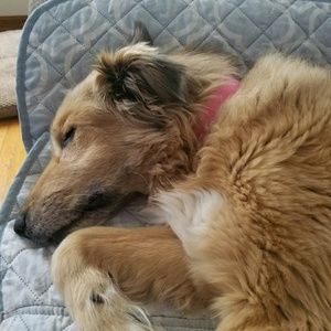 Meet your Posher, Bernice